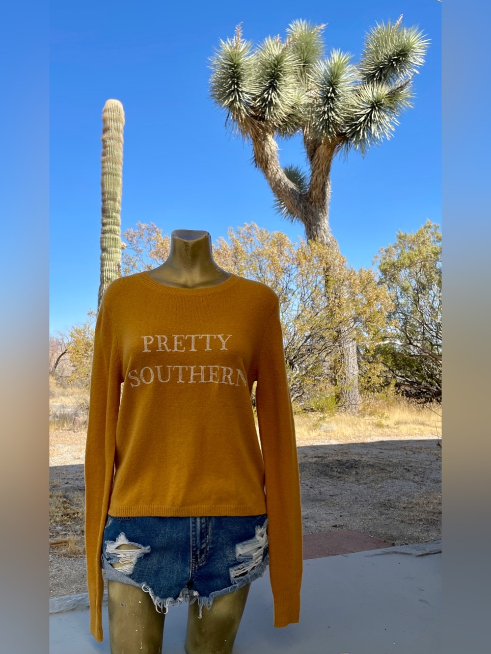 LE LIS Pumpkin Spice PRETTY SOUTHERN Crewneck Pullover SWEATER NWT Size Medium